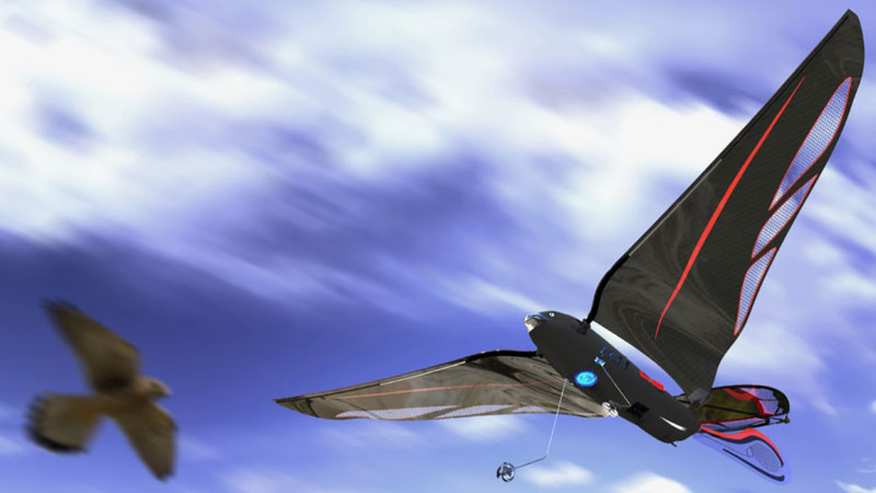 엔지니어는 스마트폰으로 조종되는 10그램 로봇 새를 만들었으며 시속 31km까지 회전할 수 있다