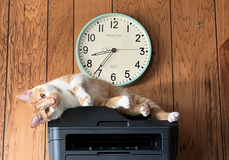 윈도우 11은 이후 업데이트와 함께 V3 및 V4 프린터 드라이버의 오래된 버전을 지원 중단합니다