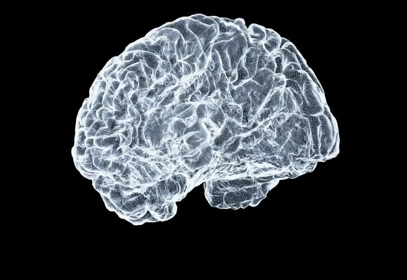 중국의 뇌 이식물은 미국의 Neuralink보다 거의 3년 뒤처져 있다