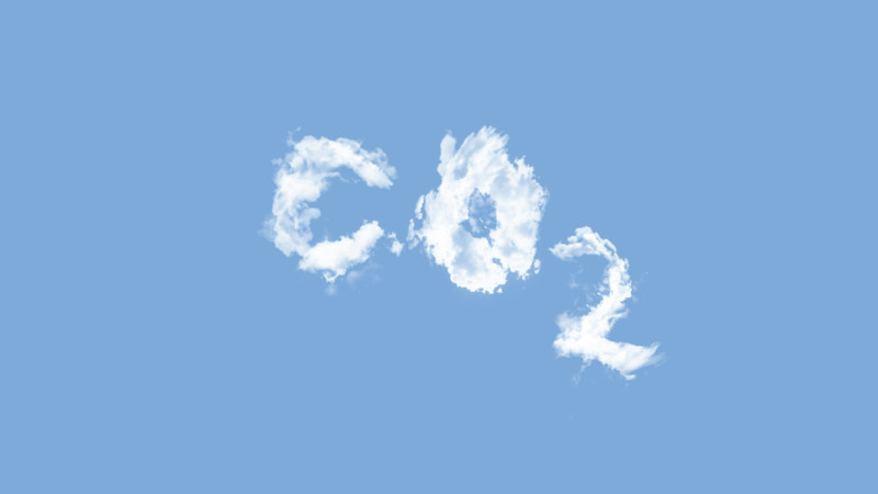 수백만 명이 수천만 명으로 변했습니다: 인공지능은 기술 대기업의 탄소 크레딧 수요 증가를 가속화했습니다