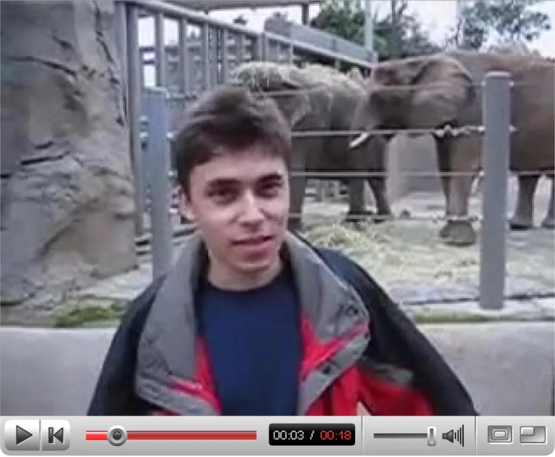 첫 유튜브 영상이 박물관 컬렉션에 들어갔습니다.