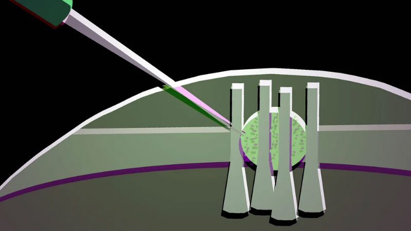 과학자들은 액체 결정의 한 방울로 유연한 광학 트랜지스터를 만들어 미래의 포토닉 칩에 활용했습니다