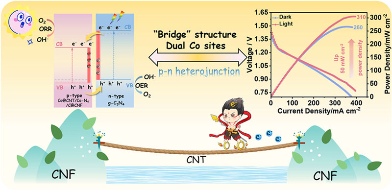 중국은 밝은 조명을 선호하는 배터리를 개발했다